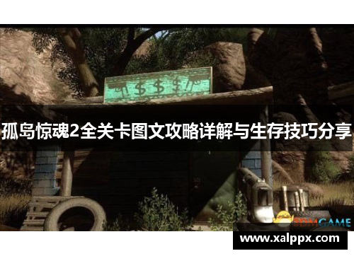 孤岛惊魂2全关卡图文攻略详解与生存技巧分享 孤岛惊魂2全关卡图文攻略详解与生存技巧分享